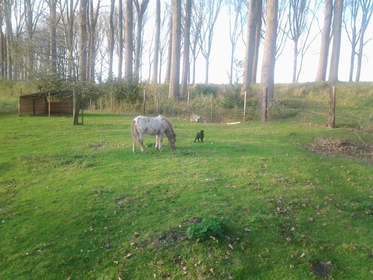 Vandenstampershoek B&B Damme Exterior foto